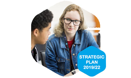 Strategic Plan Icon